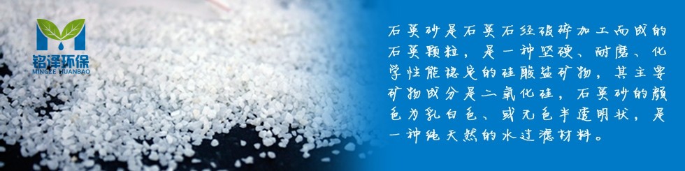 稱重食用油灌裝機(jī)